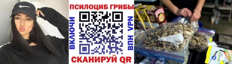 Купить  Мещовск  Псилоцибиновые грибы мухоморы 